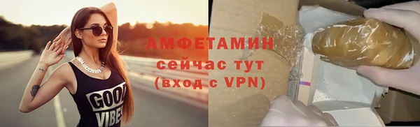 стаф Новозыбков