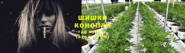 MESCALINE Нефтекумск