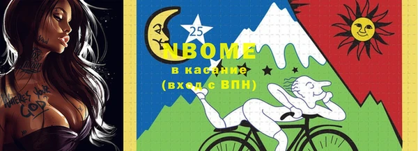 стафф Новокубанск