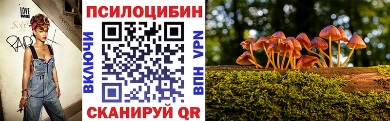 Псилоцибиновые грибы Psilocybe  гидра ТОР  Белозерск  даркнет сайт 